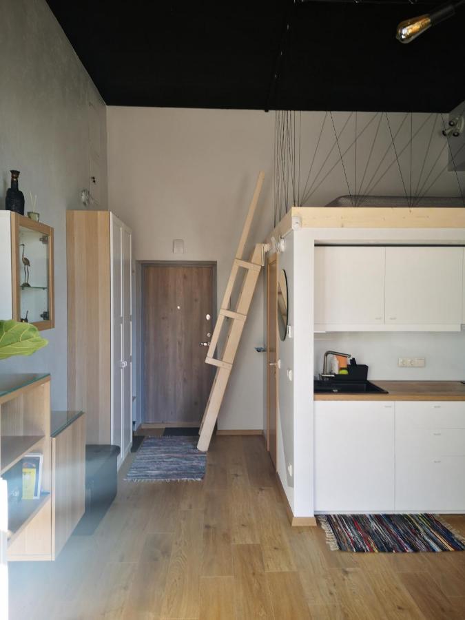 Botanical Garden Studio Kaunas Ngoại thất bức ảnh
